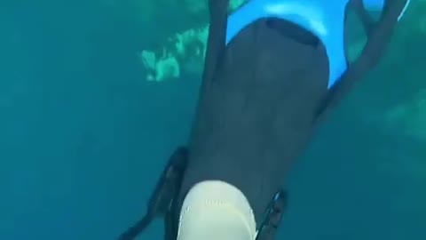 TAKING A DEEP DIVE IN LAKE BARRACUDA IN THE PHILIPPINES