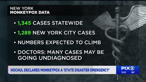 Hochul declares monkepox a state disaster emergency