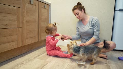 Cute little girl and funny dog at home. Mom and daughter are feeding a small dog