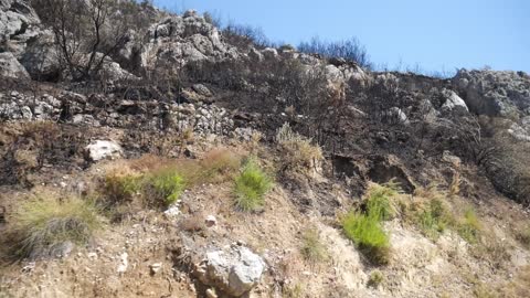 VOX visita Vall de Ebo azotado por el incendio y advierte de la "Agenda 2030 de los ecolojetas"