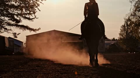 Equestian sport and active lifestyle. Sunset female silhouette riding horse, front view