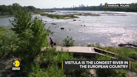 Vistula River hits all-time low in Warsaw amid heatwave | WION Climate Tracker