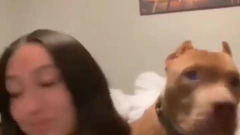 tiktok filming with dog