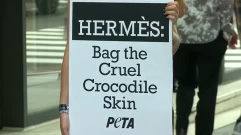 PETA protests handbags from Hermes