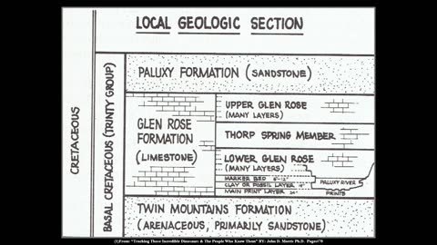 The Formation of Tracks (Dinosaur & Human Tracks Part#6)