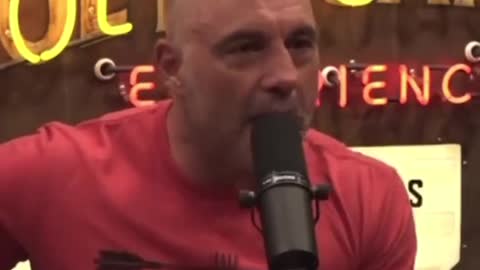 Joe Rogan has Some Words About the Brittney Griner Situation