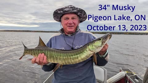 Bill's 34" Musky Jumper