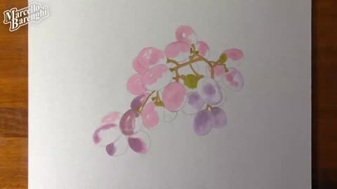 Draw A Realistic Picture Of Grapes