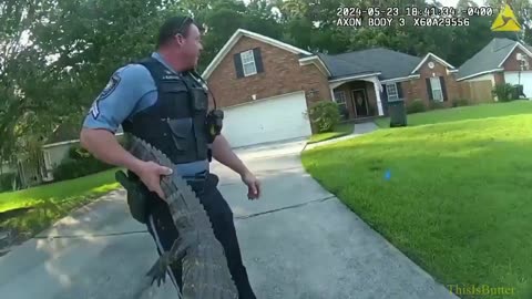 Savannah Police Wrangle Wandering Alligator From Neighborhood