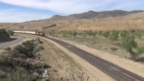 NS and CSX Trains at Pine Junction, IN (Gary)