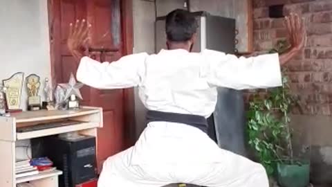 Martial arts 04/kung fu