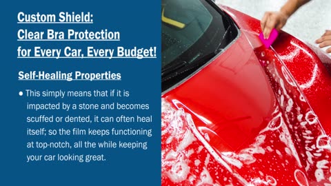 Custom Shield Clear Bra Protection for Every Car, Every Budget