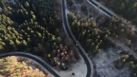 Aerial View of Cars on a Forest Road