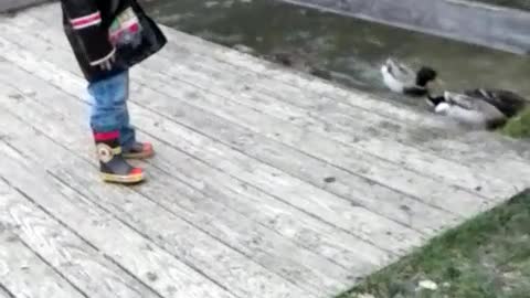 Little Girl Takes Duck Duck Goose To Affectionate New Extreme