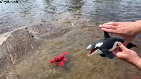 Sea Animal Toys This Summer at the Shore