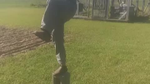 Kung Fu Crane Kick