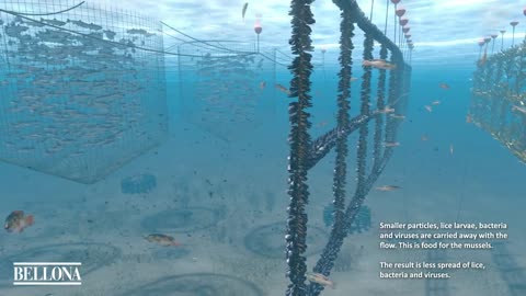 This innovative fish farm could revolutionise seafood production | Pioneers for Our Planet