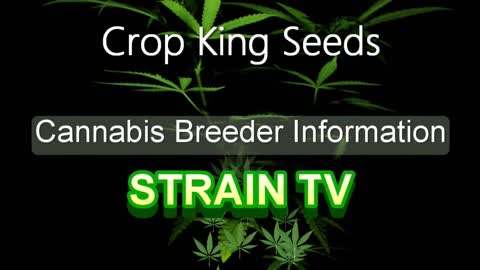 Crop King Seeds - Cannabis Strain Series - STRAIN TV