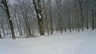 Plowing More Snow