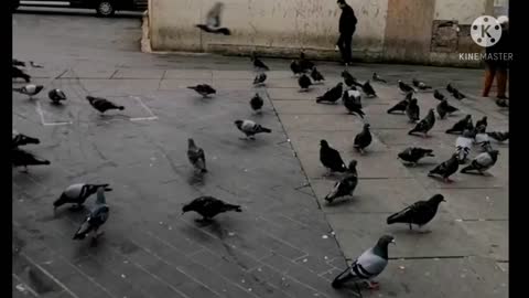 Taksim Square