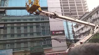 Cat Rescued from Skyscraper Ledge