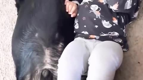 Animal Love With Small Baby