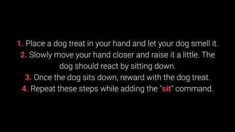 TOP 10 Basic Dog Training MAGIC Ever