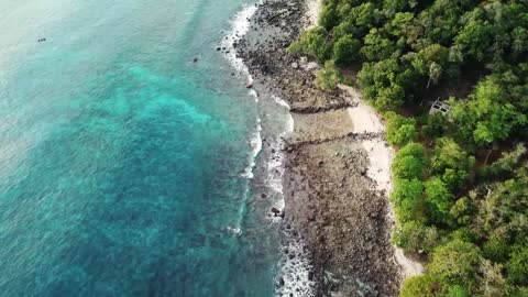 Perfect Paradise Beach Scene