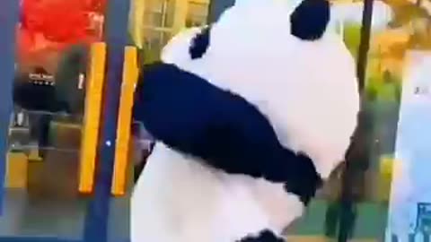 Tukur tukur cute bear panda