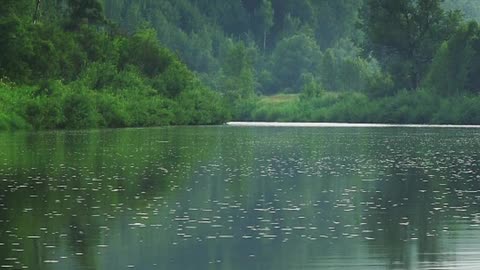 View of the Lake in the Forest