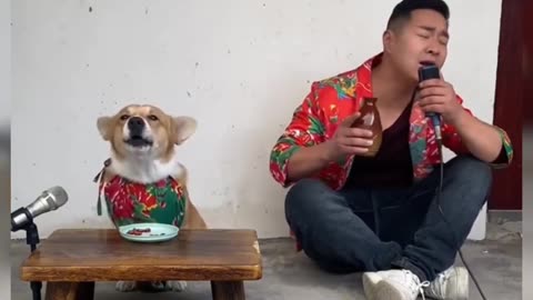 Chó hát còn hay hơn hàng xóm hát | Dog sing better than neighbors