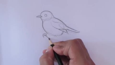 Drawing tutorial for beginners|| Bird drawing||easy steps