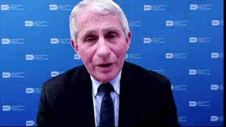 Political divide contributed to 500K deaths -Fauci