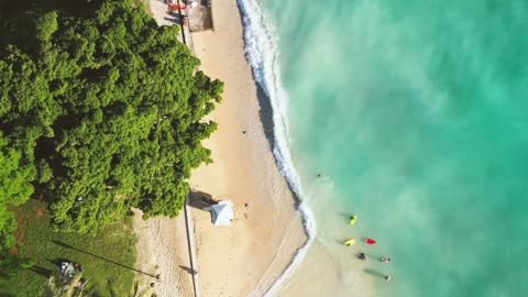 Rhythms of the Ocean: Mesmerizing Waves in Motion