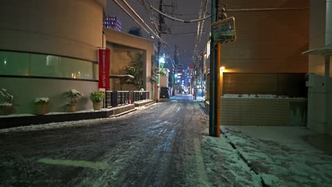 Snowy Tokyo Euphoria: Night Walk Adventure from Shibuya to Shinjuku