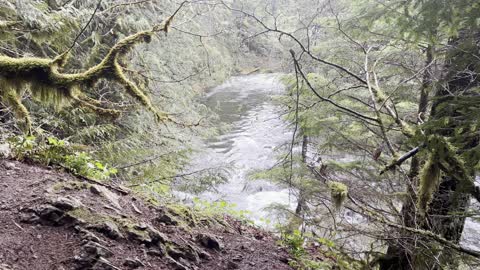 West Salmon River Trailhead – Salmon Huckleberry Wilderness – Mount Hood – 4K