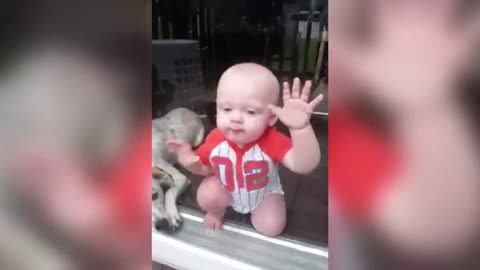 Two Cutest Friends Licking Windows