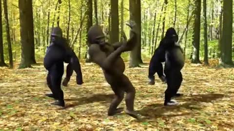 Monkey funny dance comedy video