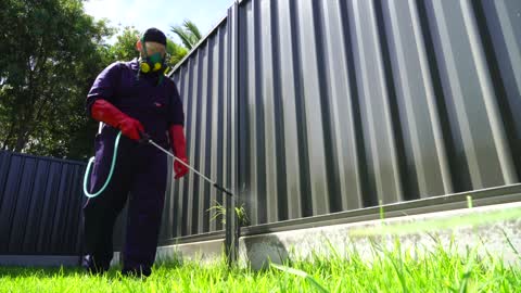 Pest Inspection Adelaide