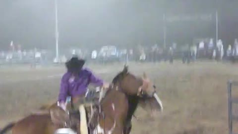 Bull riding cowboys rodeo competition with bulls and wild horses