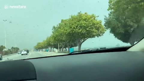 Biblical SWARM of locusts invade Saudi Arabia in terrifying footage