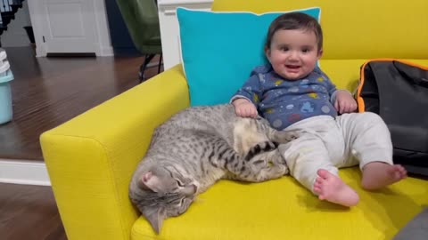 Cutest Babies Play With Cats 8