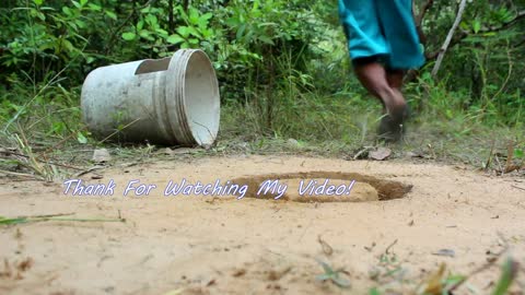 Simple And Easy Wild Cat Trap From Plastic Container