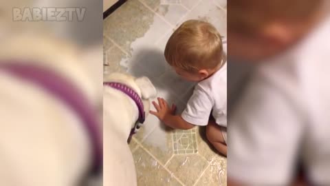 Adorable Babies Playing With Dogs and Cats