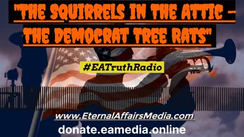 POLITICALLY INCORRECT: Squirrels in The Attic - The Democrat Tree Rats