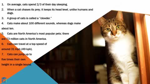 Education | Fact about cats