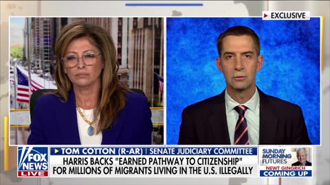 Kamala Harris is ‘not up to the job’ Sen. Tom Cotton