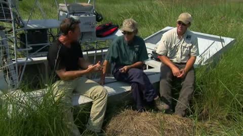 Beast Tracker: Gator Egg Round Up