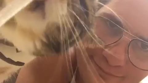 Cat licking running water owner glasses