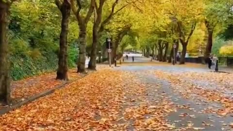 Enjoy "Edinburgh" in Autumn